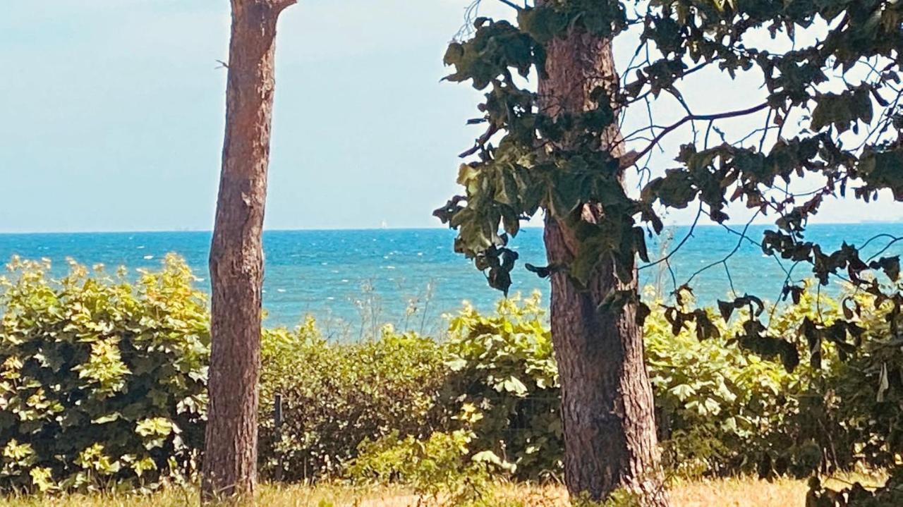 Haus Am Strand 布雷格 外观 照片